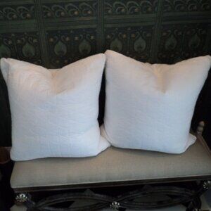 pillow down filled insert x 2~ 20" x 20"